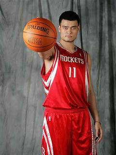 Yao Ming Net Worth