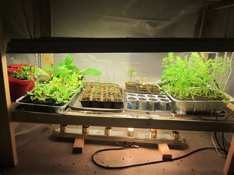 Grow Lights For Vegetable Plants at Emma Sanchez blog