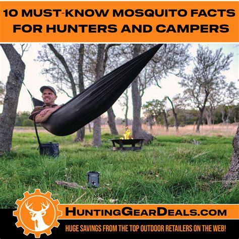 10 Must-Know Mosquito Facts for Hunters and Campers - Hunting Gear Deals