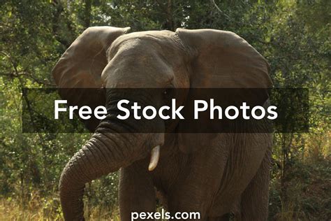 africa kaart      africa kaart stock