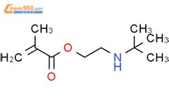 Tert Butylamino Ethyl Methacrylate