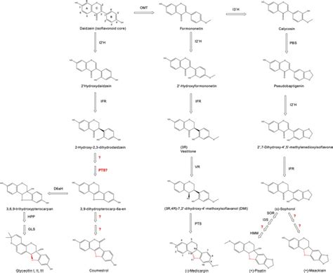 Bioprospecting microbes and enzymes for the production of pterocarpans ...