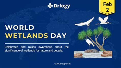 World Wetlands Day February 2 2025 History And Importance Drlogy
