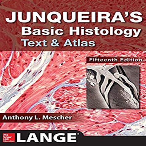 Junqueiras Basic Histology Text And Atlas Th Ist