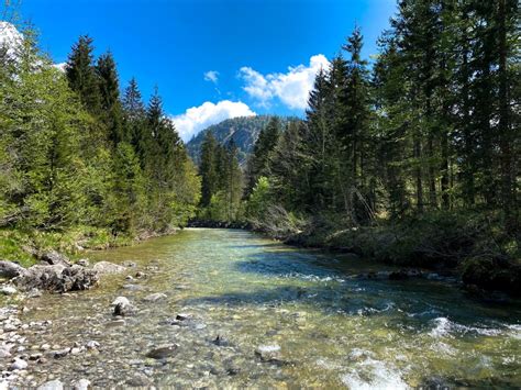 The importance of rivers and how to help - Enviroline Blog
