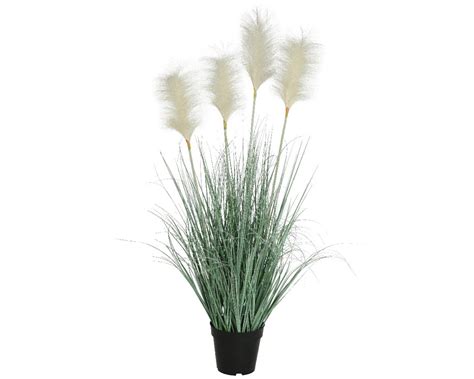 Herbes Pampa Artificiels En Pot Avec Plumeaux Blancs Diam Tre Cm