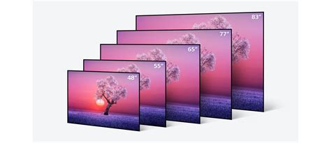 LG C1 65 inch Class 4K Smart OLED TV w/AI ThinQ® (64.5'' Diag ...