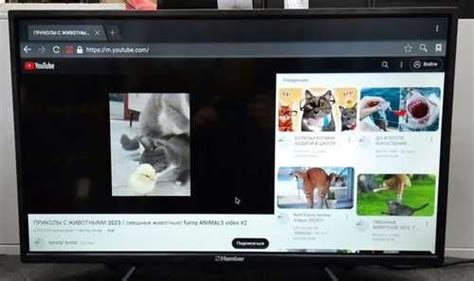 Телевизор Hamber 32HRP5509 | Festima.Ru - Мониторинг объявлений