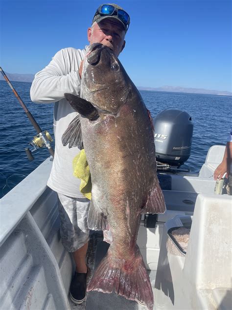 Bahia De Los Angeles Report - 8/31 & 9/1 | Bloodydecks