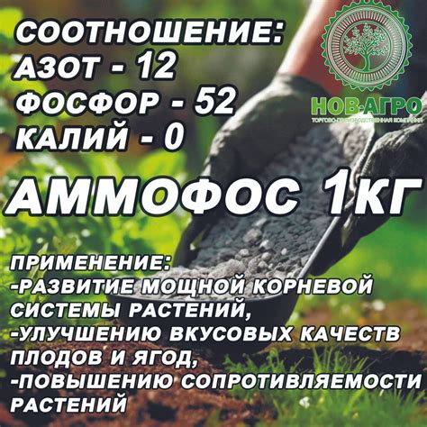Аммофос 1кг развитие мощной корневой системы; улучшение вкусовых ...