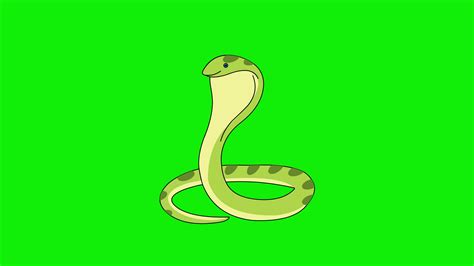 cartoon snake animation  green screen  stock video  vecteezy