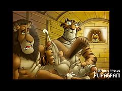 Gay Furry Tiger Yiff Slideshow Xxx Mobile Porno Videos Movies IPornTV Net