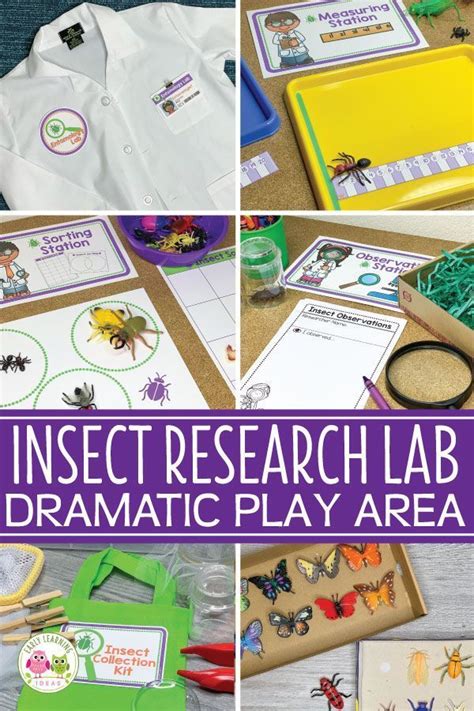 An Insect Theme Dramatic Play Area How To Make An Insect Pretend Play