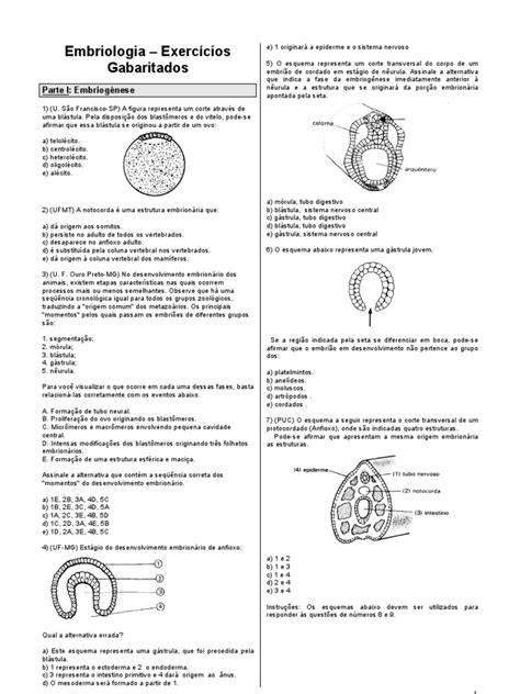 Embriologia Exercícios - Exercicios Embriologia[1]-3ªº | Placenta | Ovo