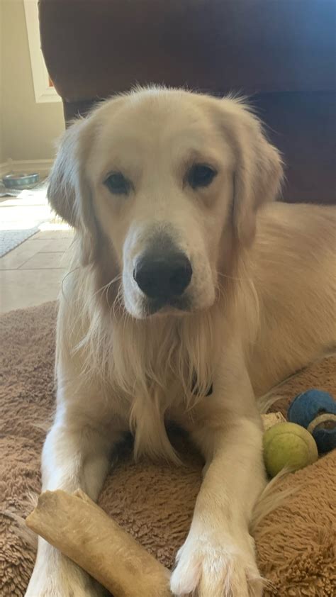 Dena Vindiola arraigned in San Diego court