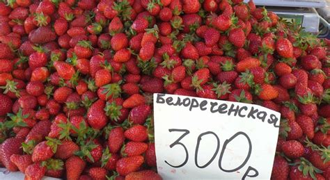 В Ростове килограмм самой дешёвой клубники можно купить за 250 рублей