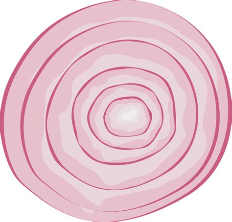 Onions Slices Clipart