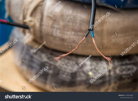 543 Naked Cables Images Stock Photos Vectors Shutterstock