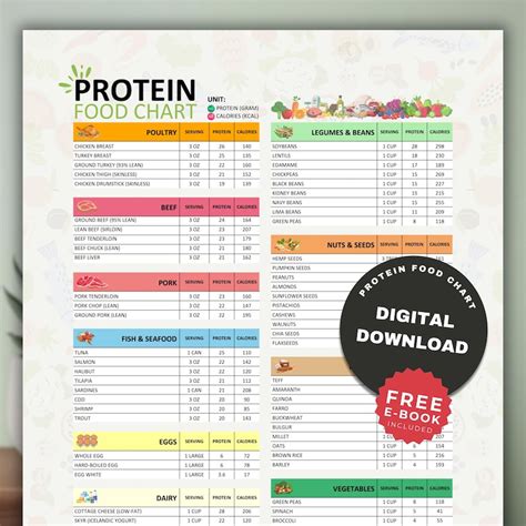 high protein foods chart etsy