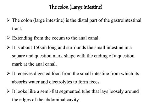 Appendix Colon Rectums Ana Anal Canal Presentation Powerpoint Pptx