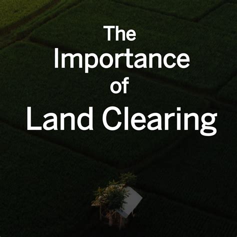 The Importance Of Land Clearing Rks Services Group