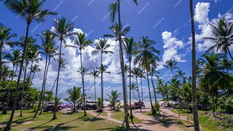premium photo aerial view  itacare beach bahia brazil beautiful