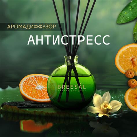 Ароматический диффузор Breesal, Жидкий, Апельсин, Ваниль, 70 мл купить ...