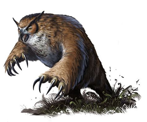 Owlbear Physiology | Superpower Wiki | Fandom