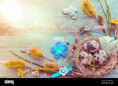 Easter Background With Easter Eggs Pussy Willow And Spring Flowers Top View With Copy Space