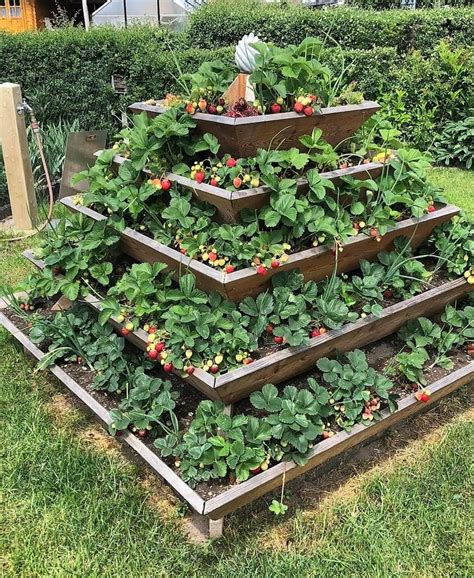 Garden Pyramid Strawberry Planter Pallet Wood Projects