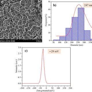 A Fe Sem Image B Size Distribution Histogram And C The Zeta Potential