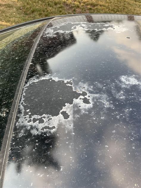 how to stop paint chipping on car