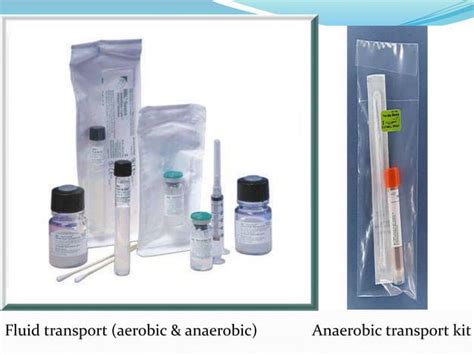 Anaerobic Culture Methods | PPT