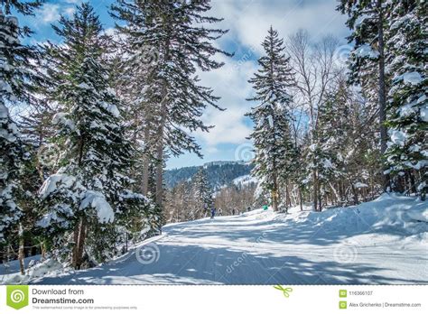 Beautiful Nature And Scenery Around Snowshoe Ski Resort In Cass Stock