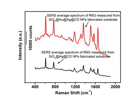 Fig S8 Averaged Sers Spectra Of R6g Measured From Sio2auagcd Nps