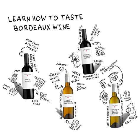 Bordeaux 101 – Wine Folly