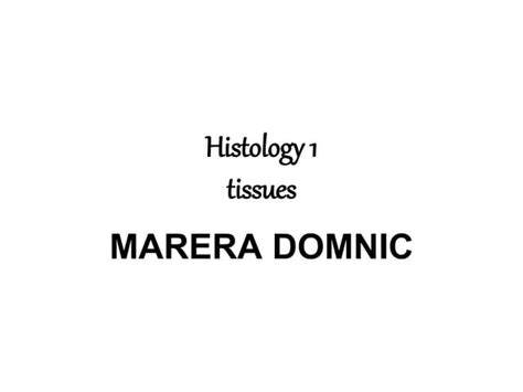 LECTURE 2 TISSUES.ppt