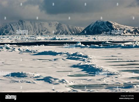 Arctic pack ice; Svalbard Stock Photo - Alamy 