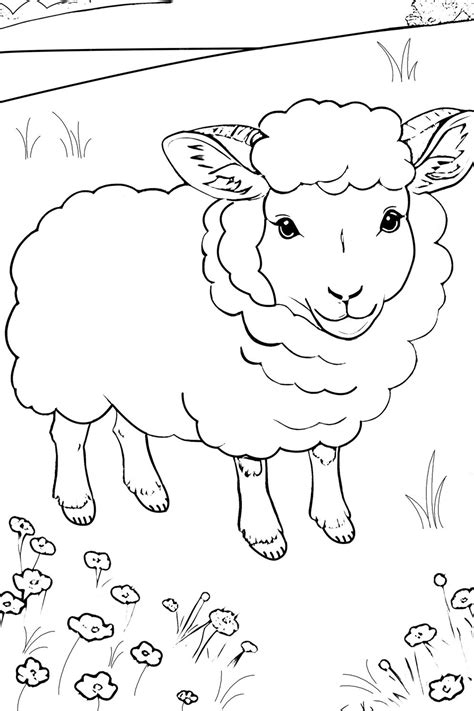 Premium Ai Image Cute Shepp Coloring Page