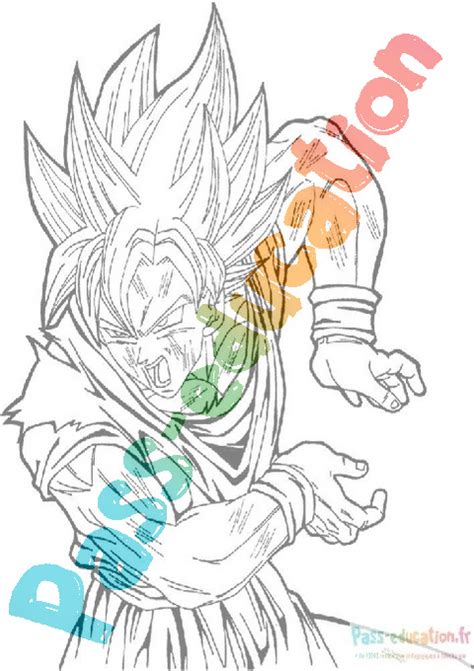 Coloriage Gratuit Sangoku Pdf Imprimer