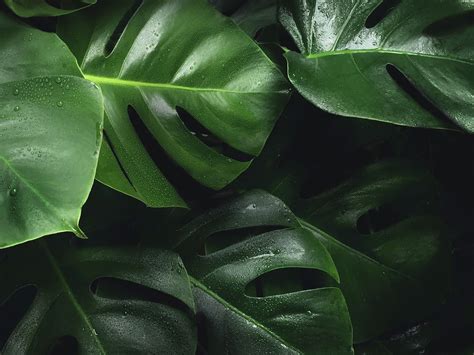 W12 Studios - W12 Studios added a new photo — at W12 Studios.