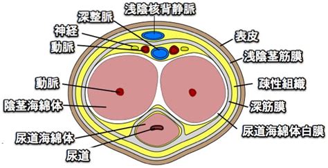 siruw