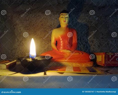 Photo Of Good Looking Stunning Attractive Female Wear Sensual Top Naked Shoulders On Green Color