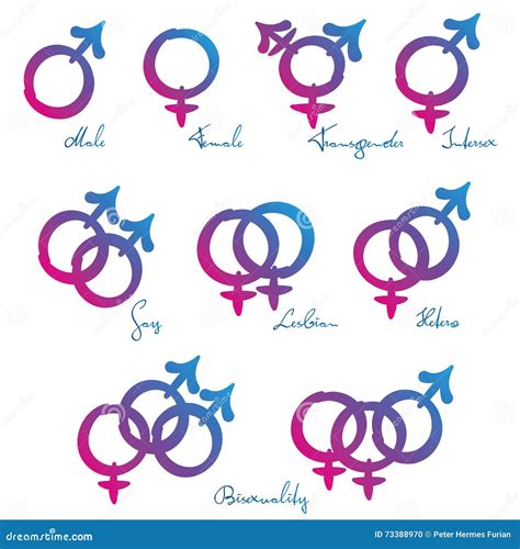 Amor Gay De Hetero De La Lesbiana De Los S Mbolos De Lgbt Stock De Ilustraci N Ilustraci N De