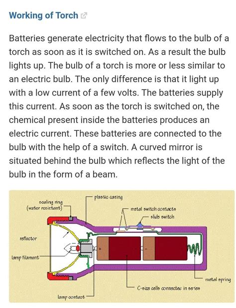 Electric Torch Diagram Class 6