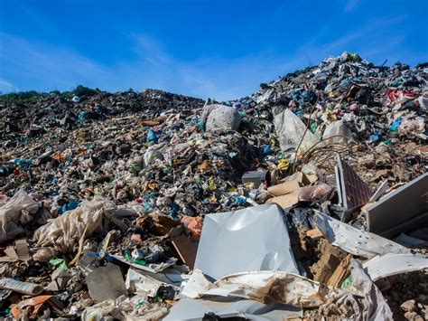 Revolutionary Organic Waste to Value Project Plan Revealed: Ground ...
