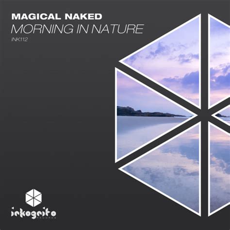 Stream Magical Naked Morning In Nature Extended Mix By Inkognito