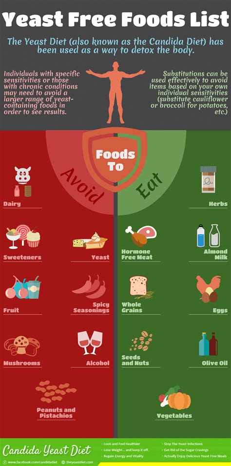 Discover 11 Yeast free diet and candida diet recipes ideas | diet