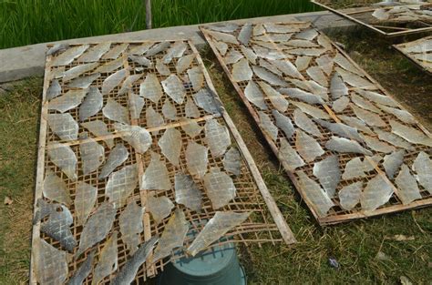Usaha Kulit Ikan Cukup Menjanjikan Majalah Handal