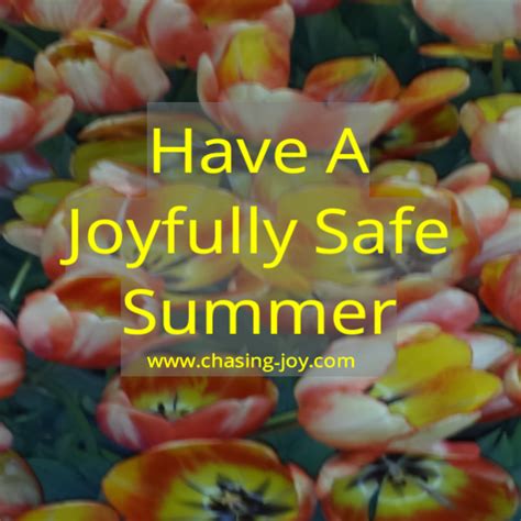 Have A Joyfully Safe Summer - Chasing Joy